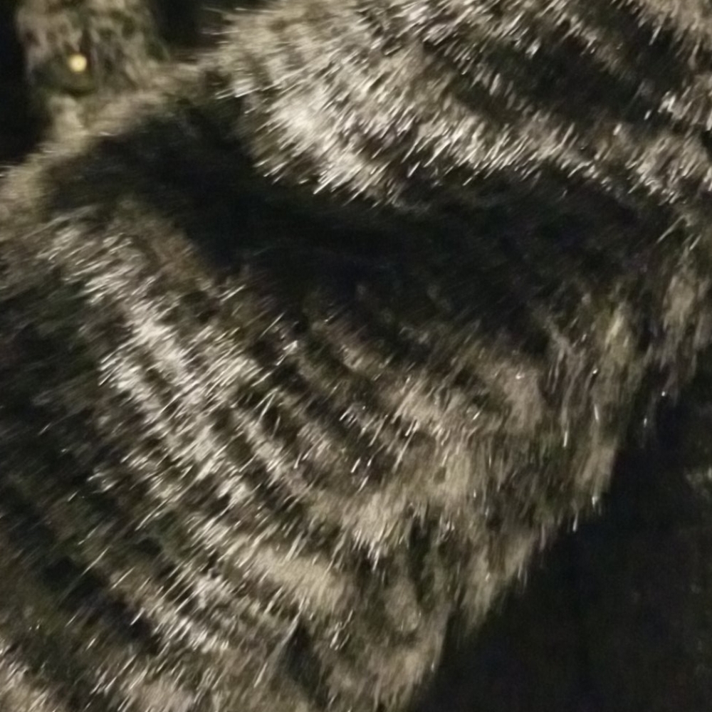Kate Spade  coat - Picture 13 of 14